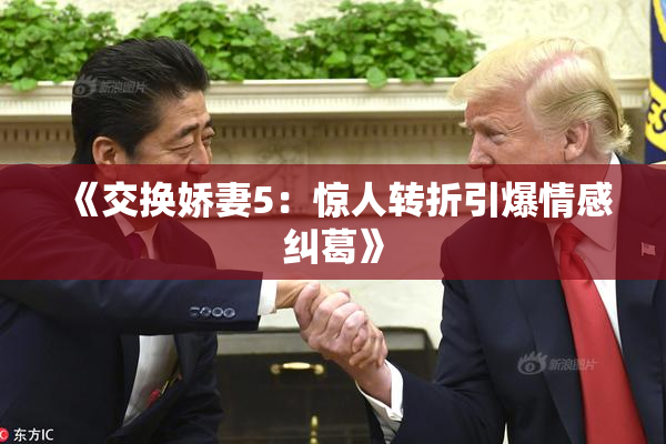 《交换娇妻5：惊人转折引爆情感纠葛》