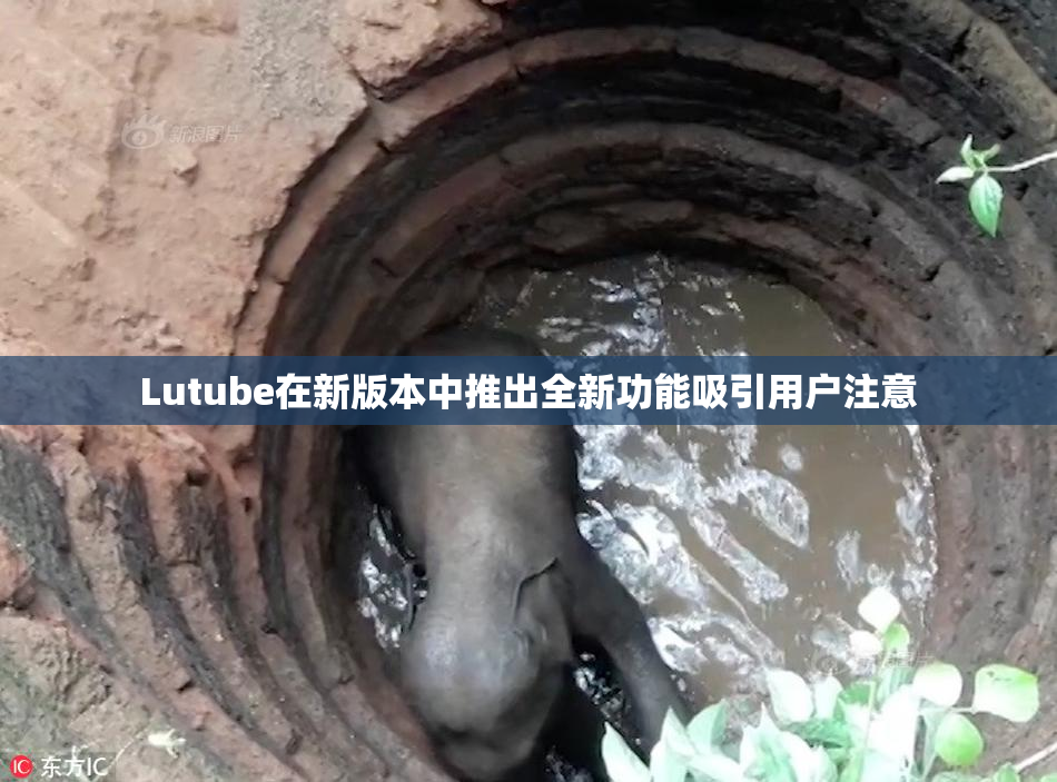 Lutube在新版本中推出全新功能吸引用户注意