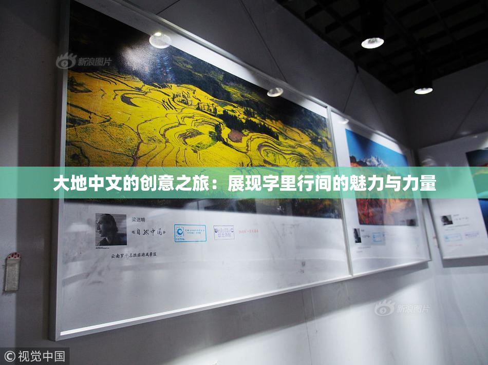 大地中文的创意之旅：展现字里行间的魅力与力量