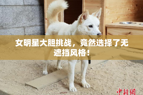 女明星大胆挑战，竟然选择了无遮挡风格！