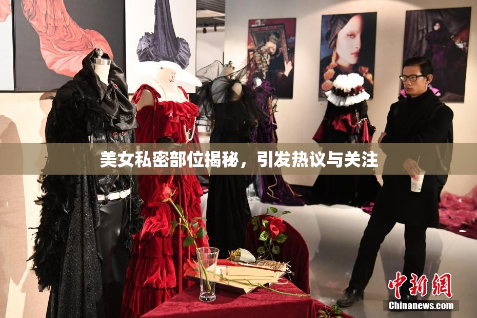 美女私密部位揭秘，引发热议与关注