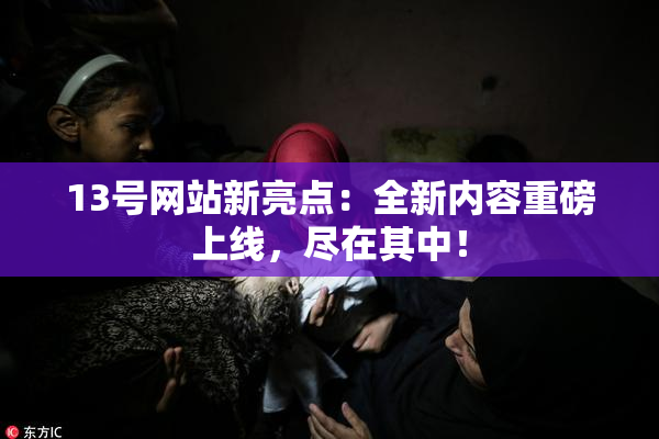 13号网站新亮点：全新内容重磅上线，尽在其中！
