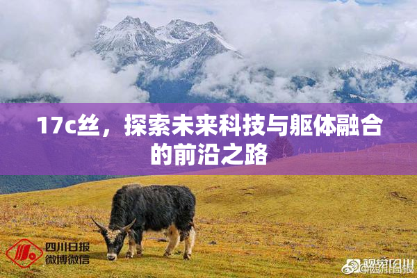 17c丝，探索未来科技与躯体融合的前沿之路