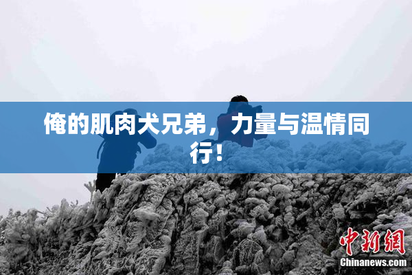 俺的肌肉犬兄弟，力量与温情同行！