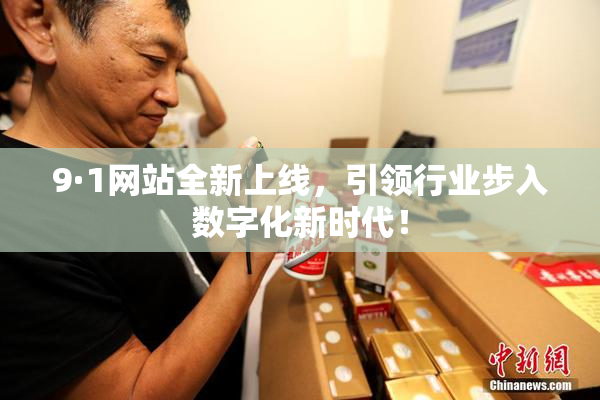 9·1网站全新上线，引领行业步入数字化新时代！