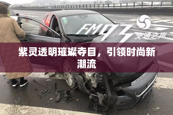 紫灵透明璀璨夺目，引领时尚新潮流