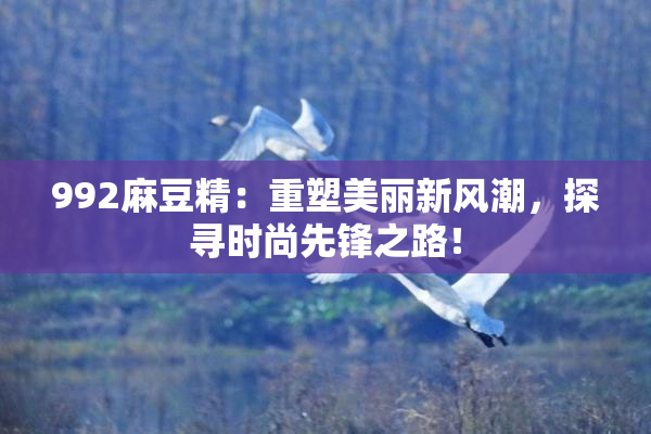 992麻豆精：重塑美丽新风潮，探寻时尚先锋之路！