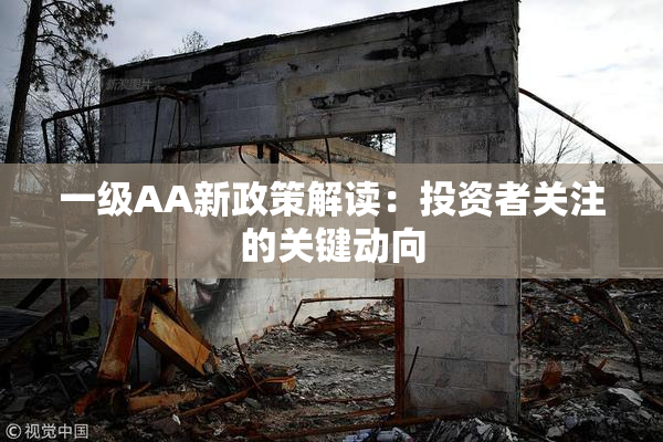 一级AA新政策解读：投资者关注的关键动向