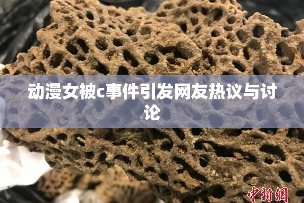 动漫女被c事件引发网友热议与讨论