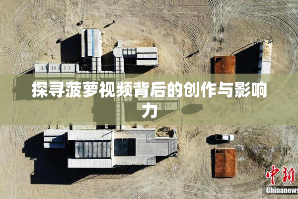 探寻菠萝视频背后的创作与影响力
