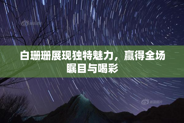 白珊珊展现独特魅力，赢得全场瞩目与喝彩