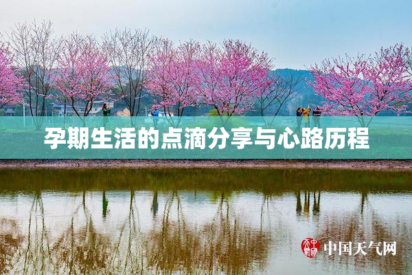 孕期生活的点滴分享与心路历程