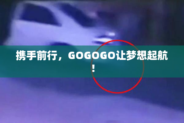 携手前行，GOGOGO让梦想起航！