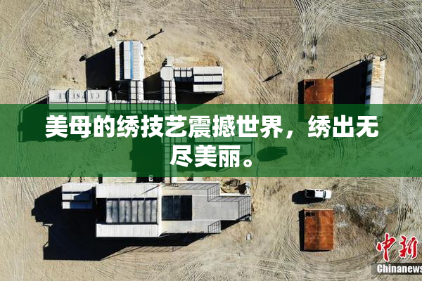 美母的绣技艺震撼世界，绣出无尽美丽。