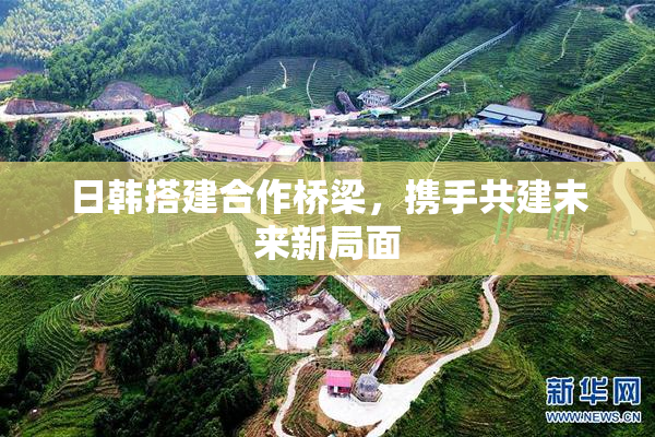 日韩搭建合作桥梁，携手共建未来新局面