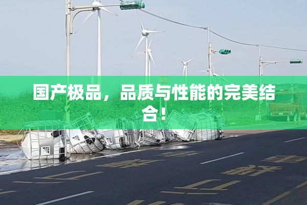 国产极品，品质与性能的完美结合！