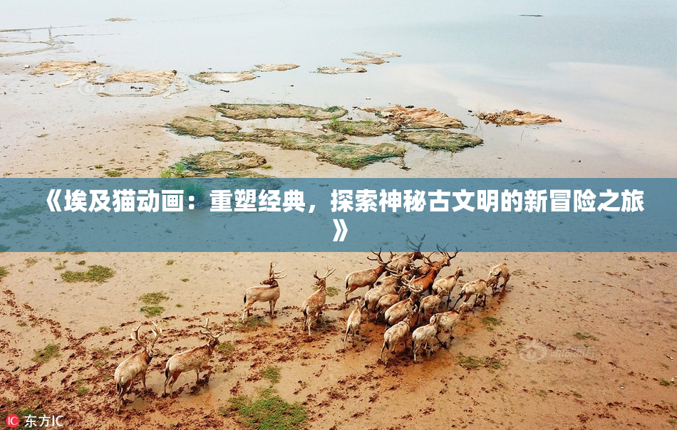 《埃及猫动画：重塑经典，探索神秘古文明的新冒险之旅》