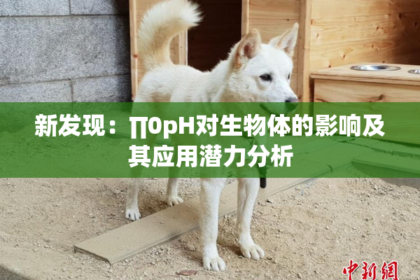 新发现：∏0pH对生物体的影响及其应用潜力分析