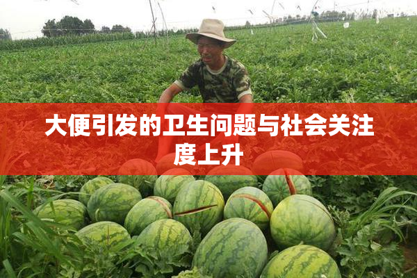大便引发的卫生问题与社会关注度上升