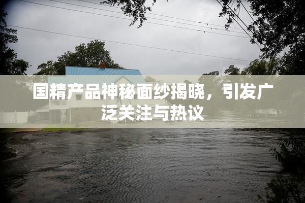 国精产品神秘面纱揭晓，引发广泛关注与热议