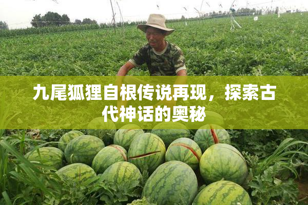 九尾狐狸自根传说再现，探索古代神话的奥秘