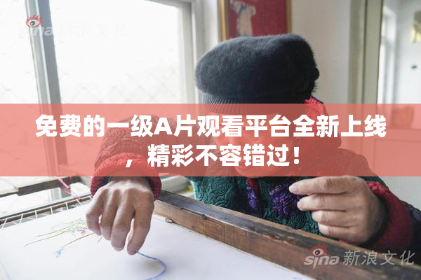免费的一级A片观看平台全新上线，精彩不容错过！