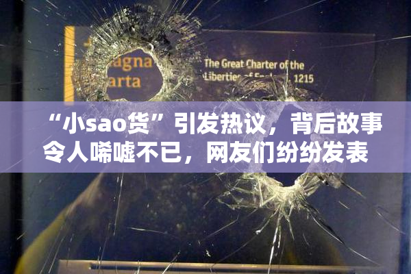 “小sao货”引发热议，背后故事令人唏嘘不已，网友们纷纷发表看法。