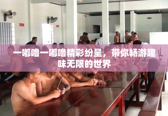 一嘟噜一嘟噜精彩纷呈，带你畅游趣味无限的世界