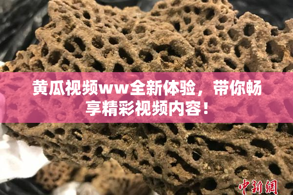 黄瓜视频ww全新体验，带你畅享精彩视频内容！