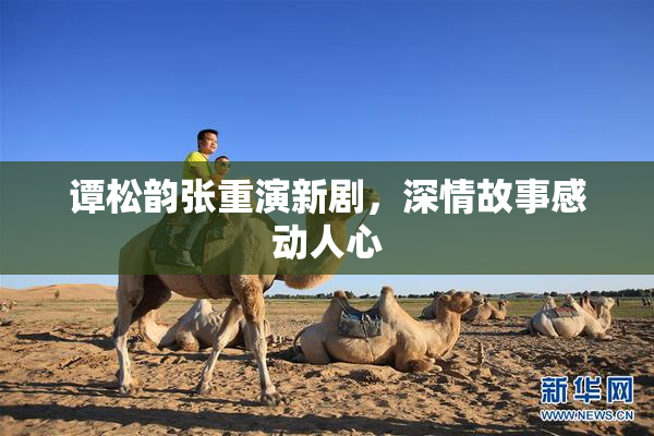 谭松韵张重演新剧，深情故事感动人心