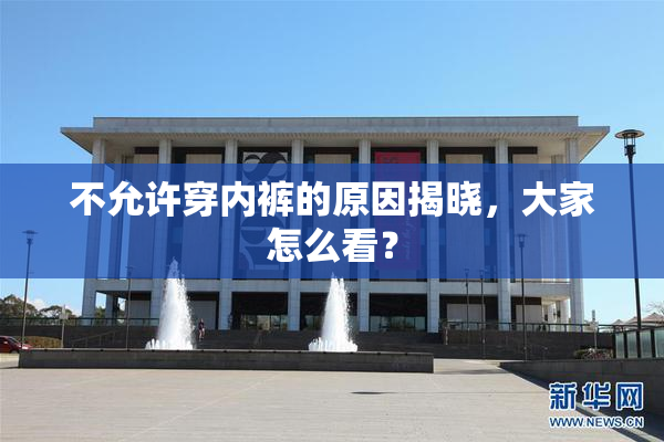 不允许穿内裤的原因揭晓，大家怎么看？