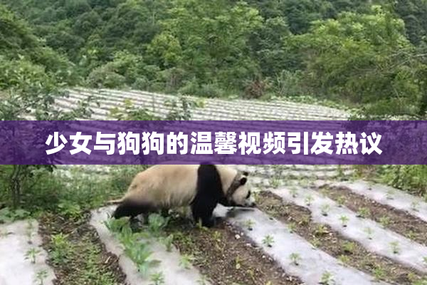 少女与狗狗的温馨视频引发热议
