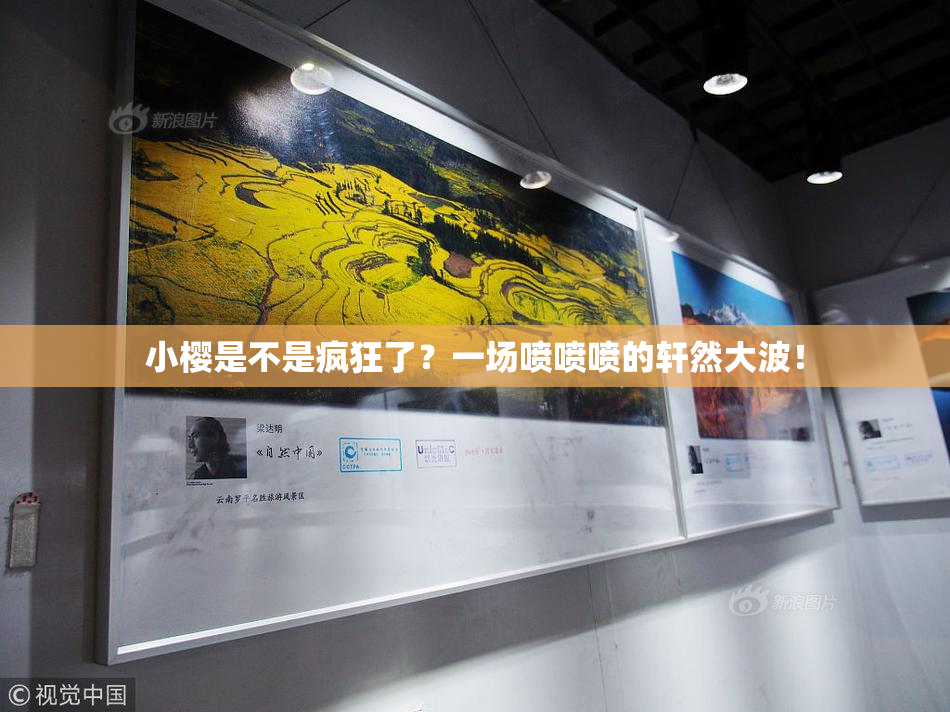 小樱是不是疯狂了？一场喷喷喷的轩然大波！