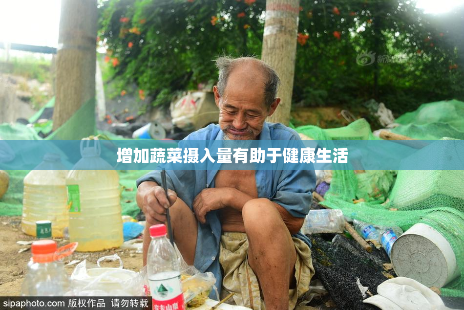 增加蔬菜摄入量有助于健康生活