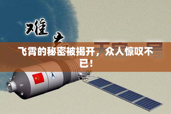 飞霄的秘密被揭开，众人惊叹不已！