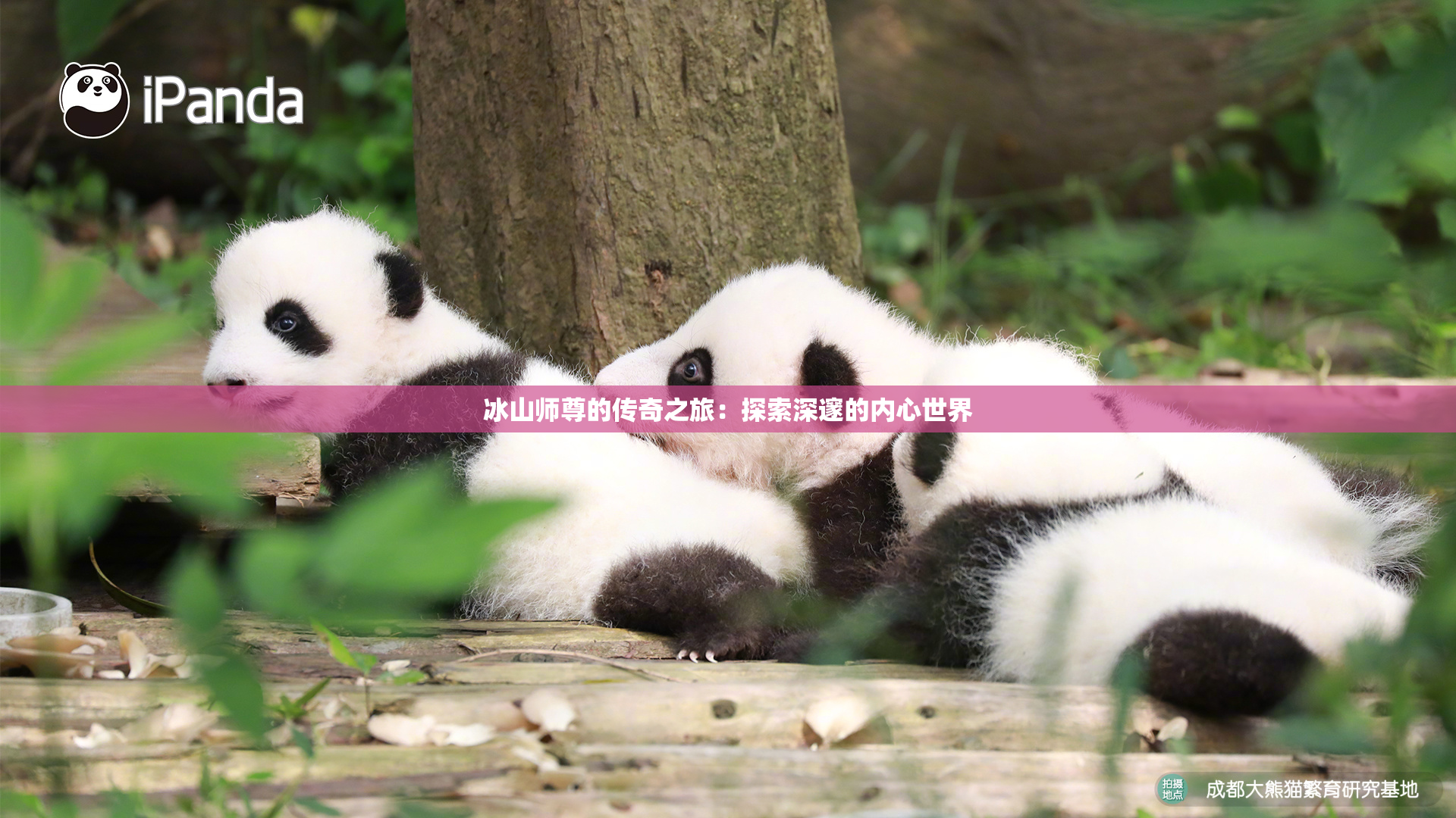 冰山师尊的传奇之旅：探索深邃的内心世界