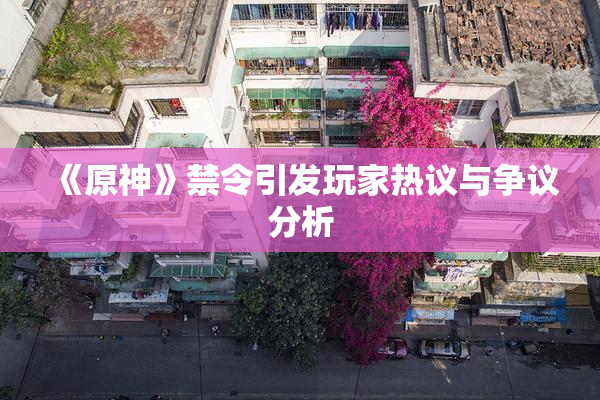 《原神》禁令引发玩家热议与争议分析