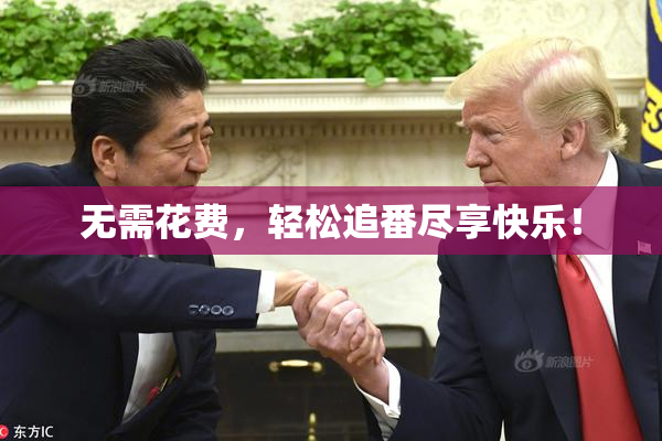 无需花费，轻松追番尽享快乐！