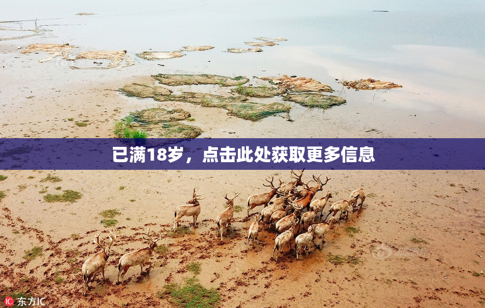 已满18岁，点击此处获取更多信息