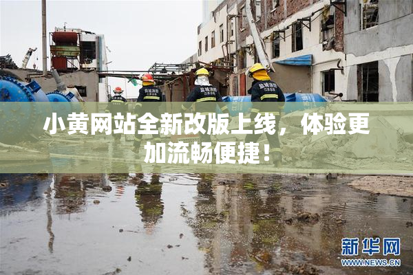 小黄网站全新改版上线，体验更加流畅便捷！