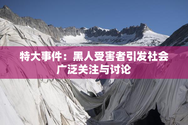 特大事件：黑人受害者引发社会广泛关注与讨论