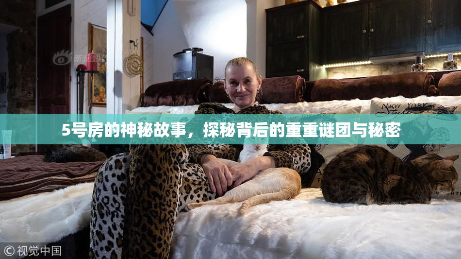 5号房的神秘故事，探秘背后的重重谜团与秘密