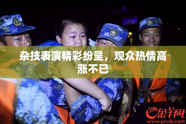 杂技表演精彩纷呈，观众热情高涨不已