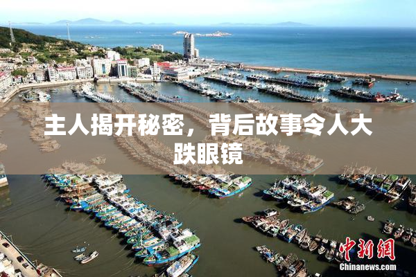 主人揭开秘密，背后故事令人大跌眼镜