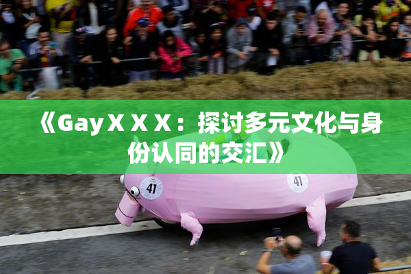 《GayⅩⅩⅩ：探讨多元文化与身份认同的交汇》