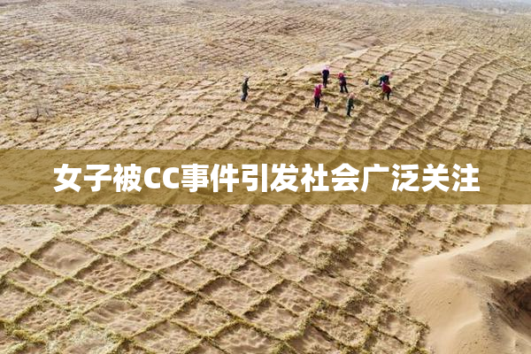 女子被CC事件引发社会广泛关注