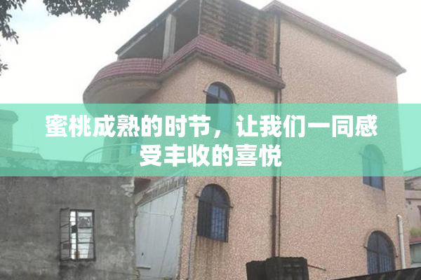 蜜桃成熟的时节，让我们一同感受丰收的喜悦