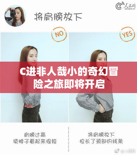 C进非人哉小的奇幻冒险之旅即将开启