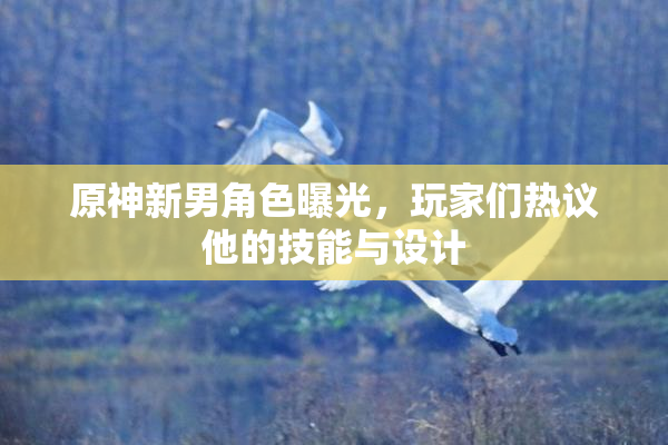 原神新男角色曝光，玩家们热议他的技能与设计