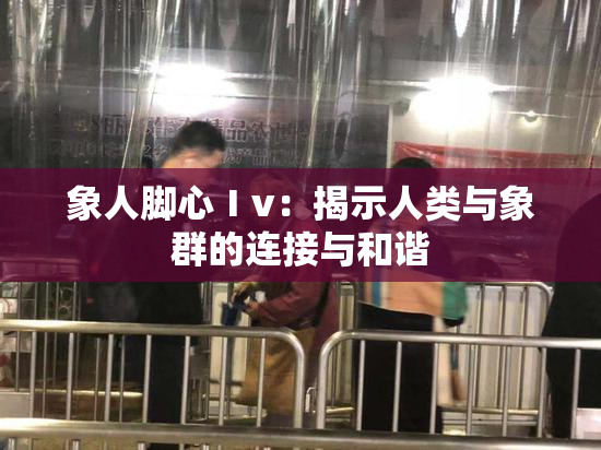 象人脚心Ⅰv：揭示人类与象群的连接与和谐